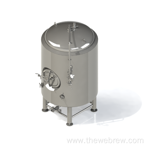 5BBL Stainless Brite Tank Single Wall